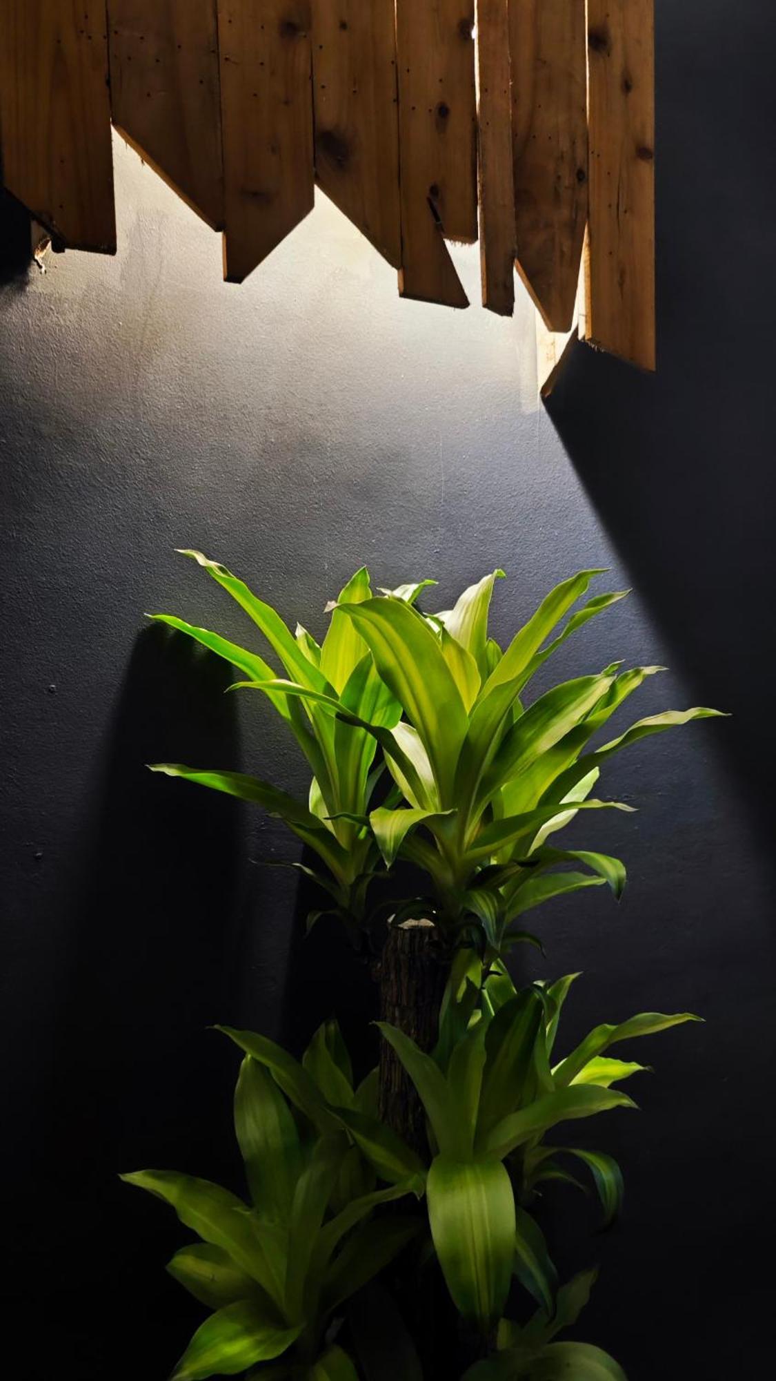 Catba Pod Hostel - Restaurant And Rooftop Bar Dong Khe Sau المظهر الخارجي الصورة